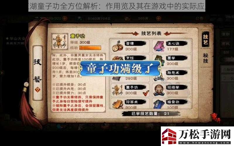 煙雨江湖童子功全方位解析：作用覽及其在游戲中的實際應(yīng)用價值