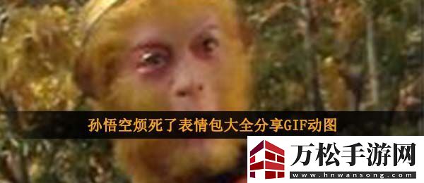 孫悟空煩死了表情包-孫悟空煩死了表情包大全分享GIF動圖
