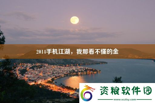 2014手機(jī)江湖-我那看不懂的金