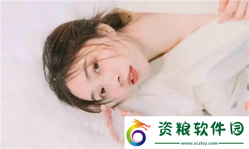 日本免費saas-crm免費又強大！用戶：打造客戶關(guān)系管理新標(biāo)準(zhǔn)！