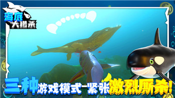 全面戰(zhàn)爭怎么修改兵種文件，掌握這幾點輕松自定義你的戰(zhàn)場兵力配置